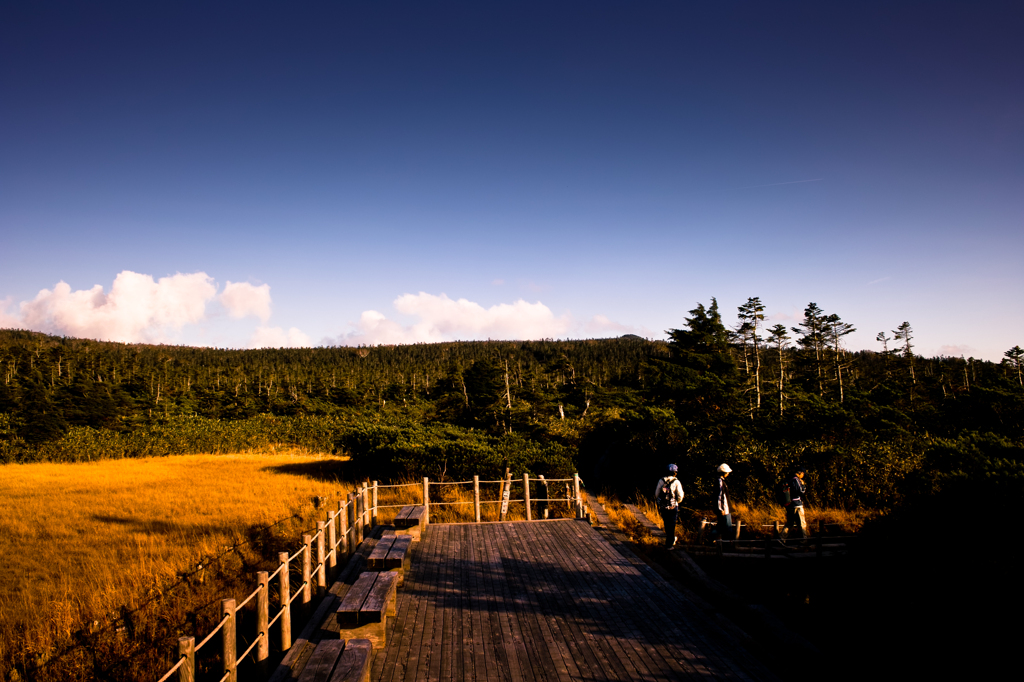 20111009-SDIM0633