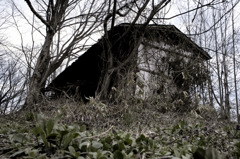 長木小屋