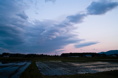 20120519-SDIM0008