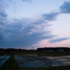 20120519-SDIM0008
