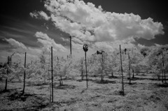 20110718-IMGP9022