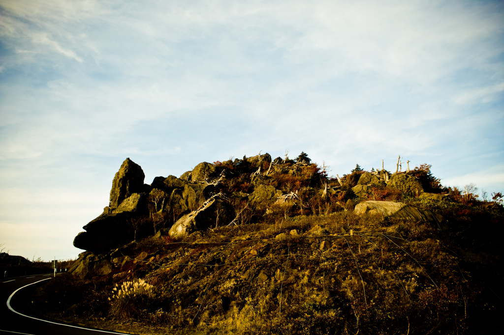 20111009-SDIM0657