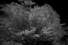 20110718-IMGP9020
