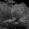20110718-IMGP9020
