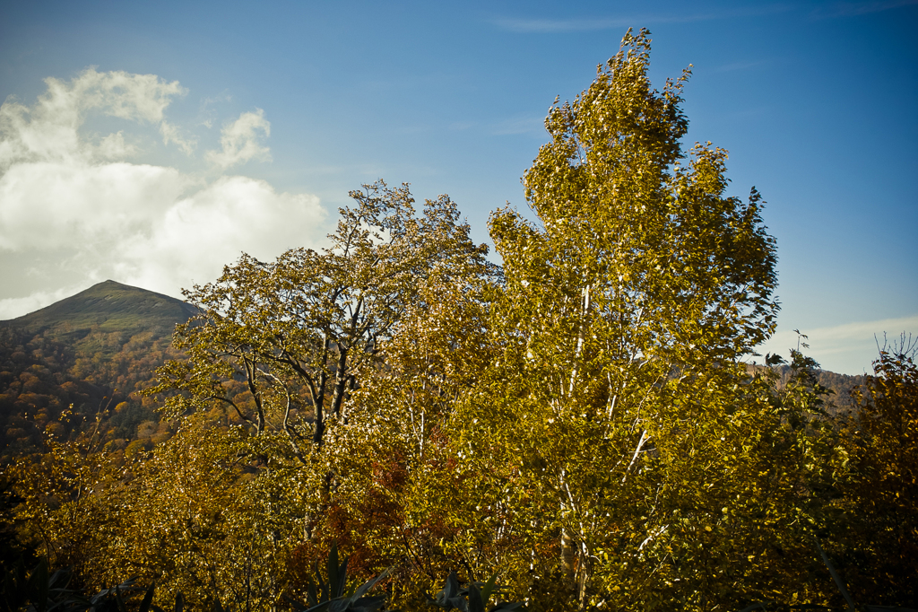 20121021-SDIM0092