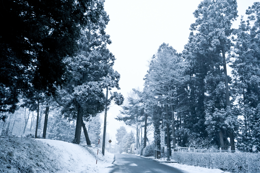 急な大雪
