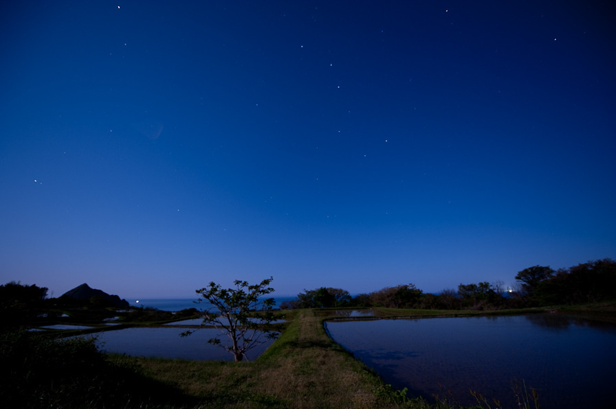 月夜の田んぼ