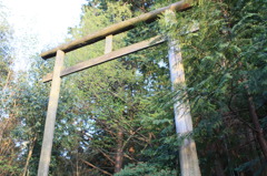 夕日に光る鳥居