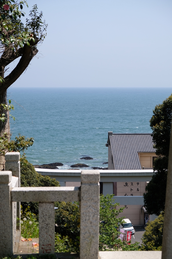 海を望む