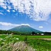 Paysage rural 03