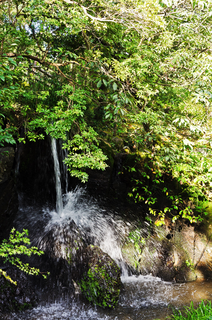 La chute d'eau du jardin