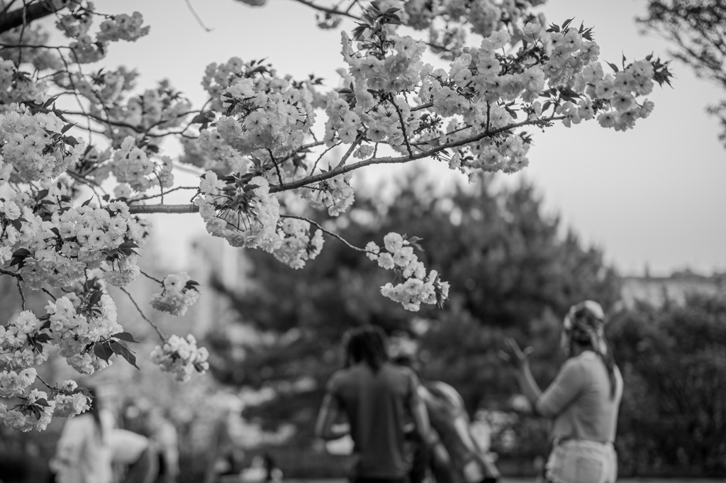 公園でのひと時1