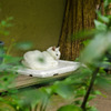 Le chat de Giou-ji
