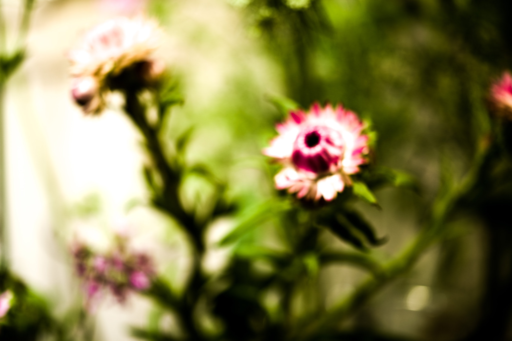 Defocus