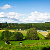 Paysage rural 02