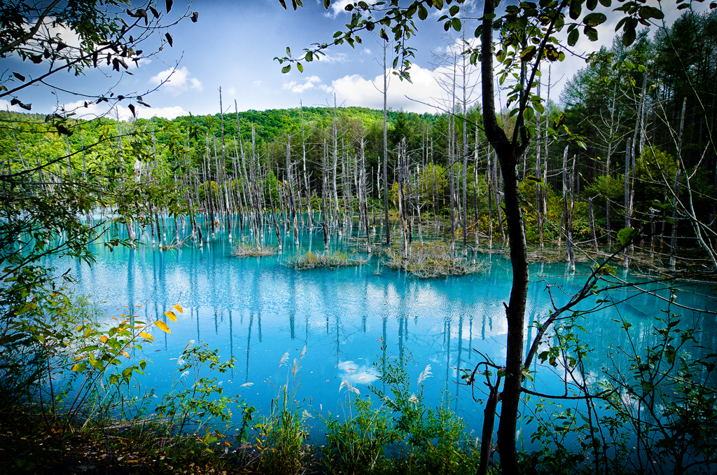 L'Etang Bleu