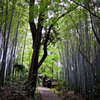 Dans Jizou-in