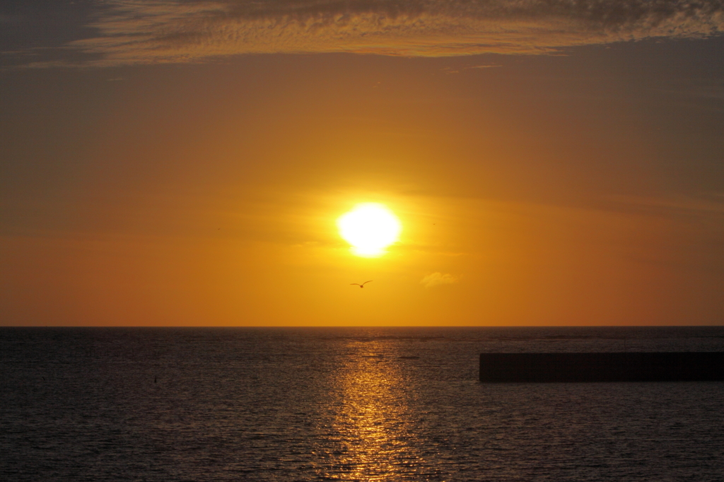 夕日を背に