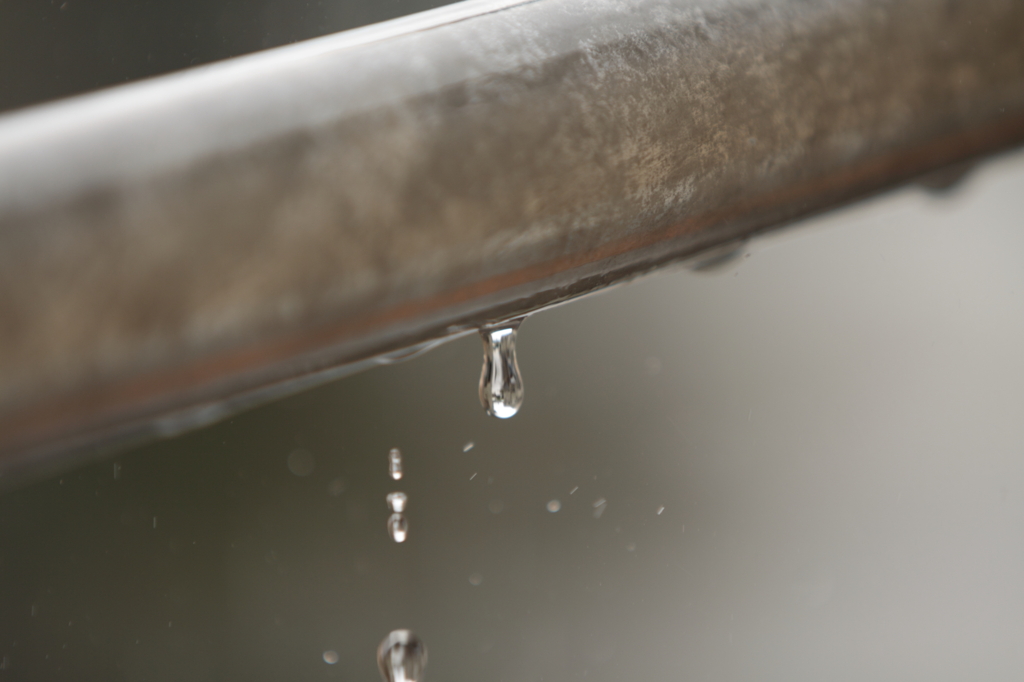 梅雨のしずく