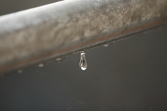 梅雨のしずく