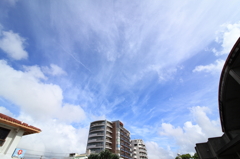 見上げる空は夏の色