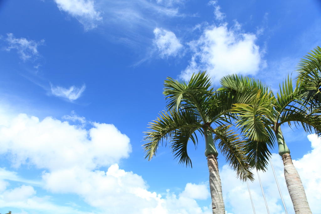 夏空