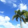 夏空