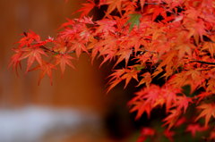 深紅