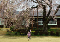 IMG_1758
