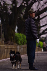 無常