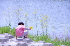 春だもの。