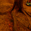 Octopus of park 