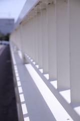 橋