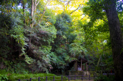 IMGP3833_1