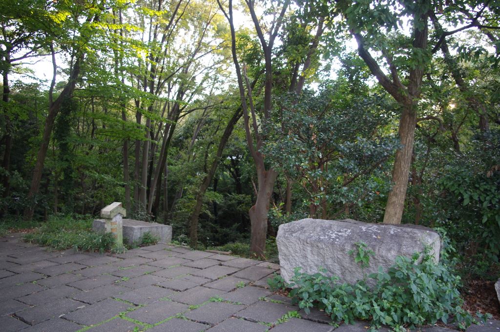 IMGP3821