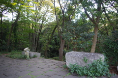 IMGP3821