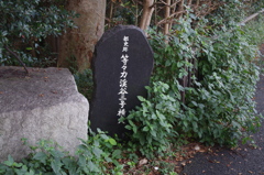 IMGP3820