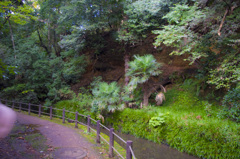 IMGP3835_1