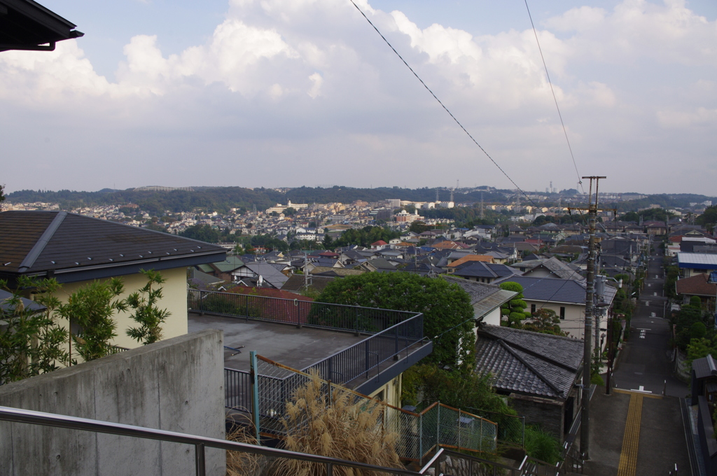 IMGP3784