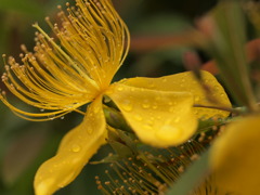 P6120595