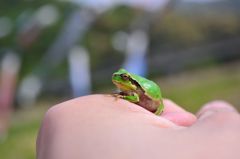 眺めはどうですか？