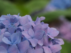 P6120557