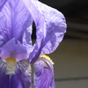 R0013372