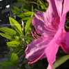 R0013236