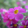 R0013199