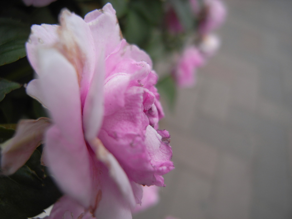 R0013389