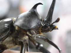 R0013843