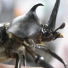 R0013843