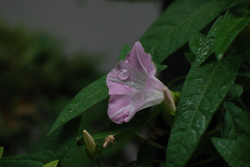 DSC_3261
