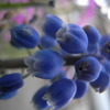 R0013201